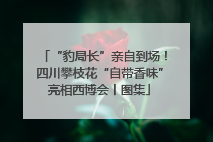 “豹局长”亲自到场！四川攀枝花“自带香味”亮相西博会丨图集
