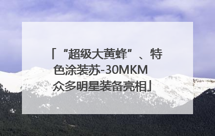 “超级大黄蜂”、特色涂装苏-30MKM 众多明星装备亮相