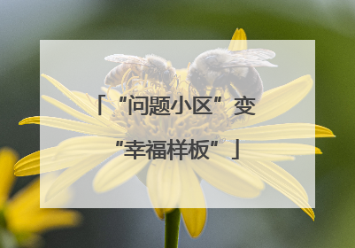 “问题小区”变“幸福样板”