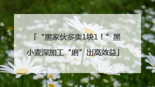 “黑家伙多卖1块1！”黑小麦深加工“磨”出高效益