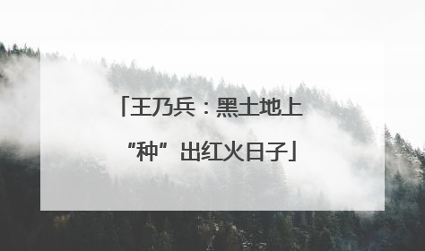 王乃兵：黑土地上“种”出红火日子