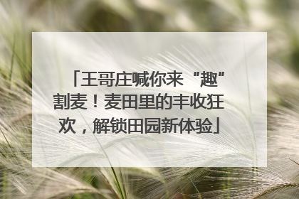 王哥庄喊你来“趣”割麦！麦田里的丰收狂欢，解锁田园新体验