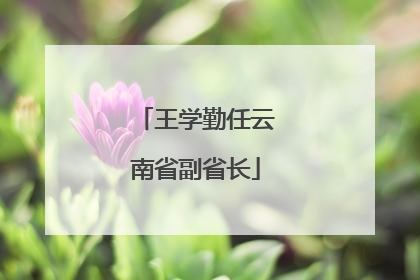 王学勤任云南省副省长