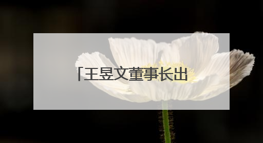王昱文董事长出席武夷山项目开业仪式 并拜会武夷山市主要领导