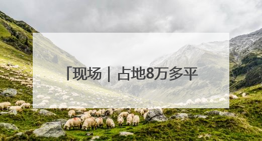 现场｜占地8万多平方米，六安河西沙滩浴场再现热闹场景