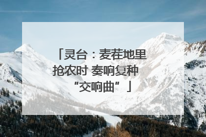 灵台：麦茬地里抢农时 奏响复种“交响曲”