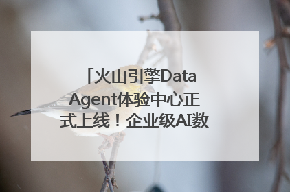 火山引擎Data Agent体验中心正式上线！企业级AI数据专家触手可及