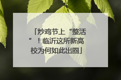 炒鸡节上“整活”！临沂这所新高校为何如此出圈