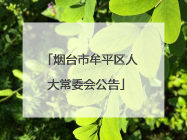 烟台市牟平区人大常委会公告