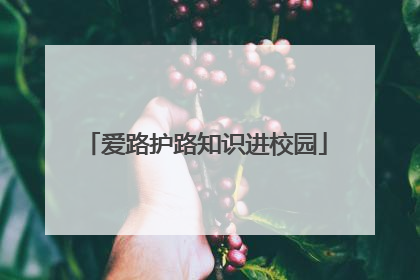 爱路护路知识进校园