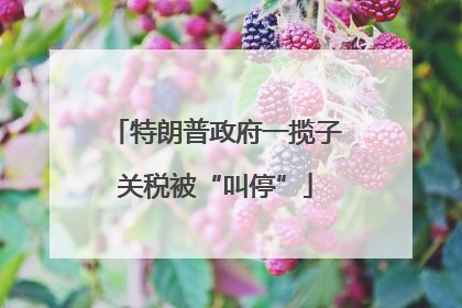 特朗普政府一揽子关税被“叫停”