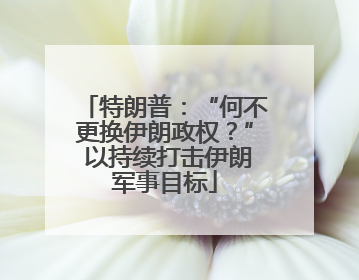 特朗普：“何不更换伊朗政权？” 以持续打击伊朗军事目标