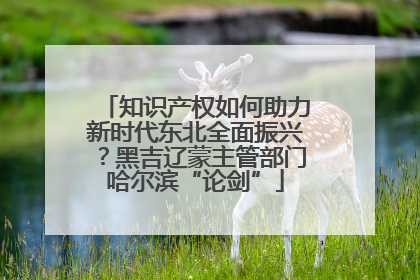 知识产权如何助力新时代东北全面振兴？黑吉辽蒙主管部门哈尔滨“论剑”