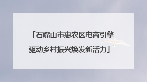 石嘴山市惠农区电商引擎驱动乡村振兴焕发新活力