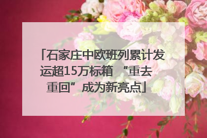 石家庄中欧班列累计发运超15万标箱 “重去重回”成为新亮点