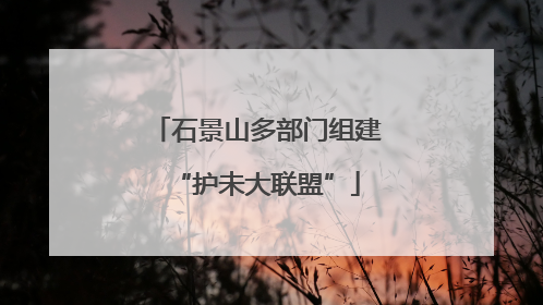 石景山多部门组建“护未大联盟”