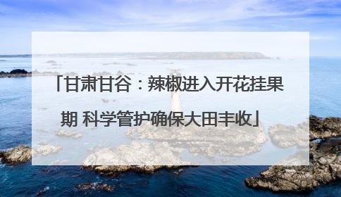 甘肃甘谷：辣椒进入开花挂果期 科学管护确保大田丰收