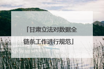 甘肃立法对数据全链条工作进行规范