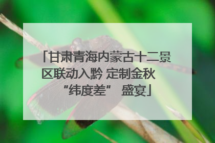 甘肃青海内蒙古十二景区联动入黔 定制金秋 “纬度差” 盛宴