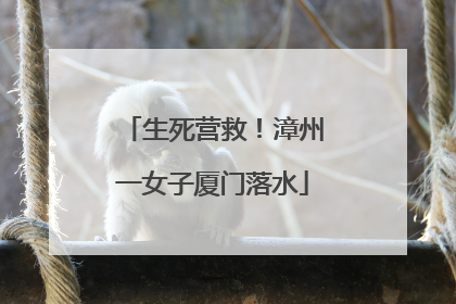 生死营救！漳州一女子厦门落水