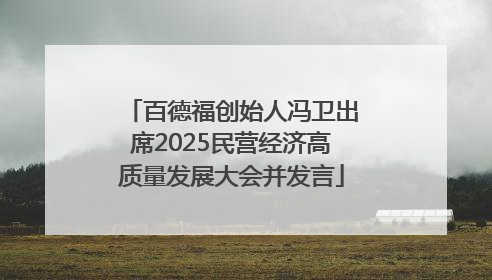 百德福创始人冯卫出席2025民营经济高质量发展大会并发言