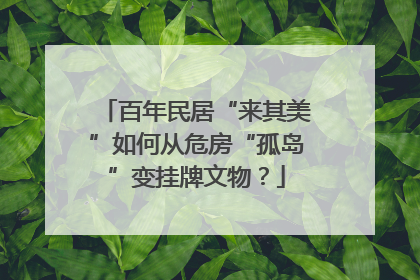 百年民居“来其美”如何从危房“孤岛”变挂牌文物？