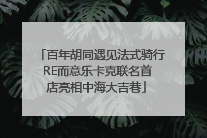 百年胡同遇见法式骑行 RE而意乐卡克联名首店亮相中海大吉巷