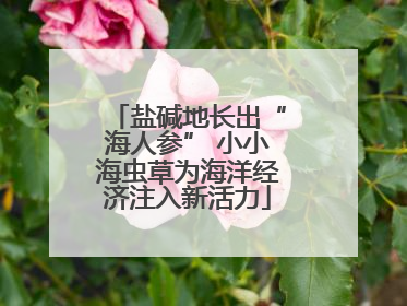 盐碱地长出“海人参” 小小海虫草为海洋经济注入新活力