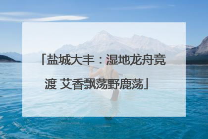 盐城大丰：湿地龙舟竞渡 艾香飘荡野鹿荡