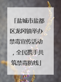 盐城市盐都区龙冈镇举办禁毒宣传活动，全民携手共筑禁毒防线