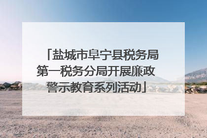 盐城市阜宁县税务局第一税务分局开展廉政警示教育系列活动