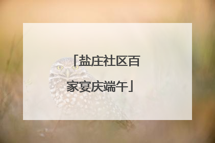 盐庄社区百家宴庆端午