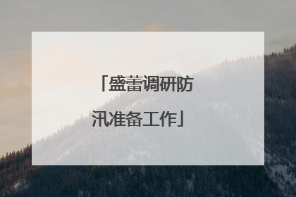 盛蕾调研防汛准备工作