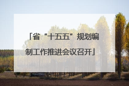 省“十五五”规划编制工作推进会议召开