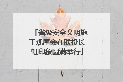 省级安全文明施工观摩会在联投长虹印象圆满举行