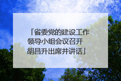 省委党的建设工作领导小组会议召开 胡昌升出席并讲话