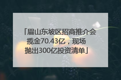 眉山东坡区招商推介会揽金70.43亿，现场抛出300亿投资清单