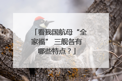 看我国航母“全家福” 三舰各有哪些特点？
