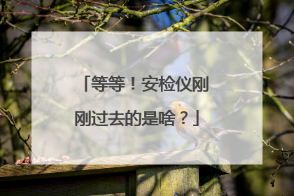 等等！安检仪刚刚过去的是啥？