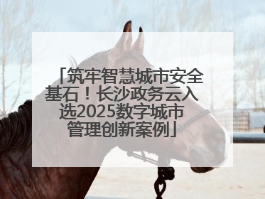 筑牢智慧城市安全基石！长沙政务云入选2025数字城市管理创新案例