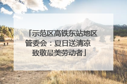 示范区高铁东站地区管委会：夏日送清凉 致敬最美劳动者