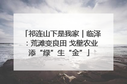 祁连山下是我家｜临泽：荒滩变良田 戈壁农业添“绿”生“金”
