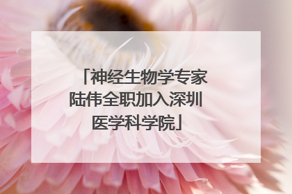 神经生物学专家陆伟全职加入深圳医学科学院