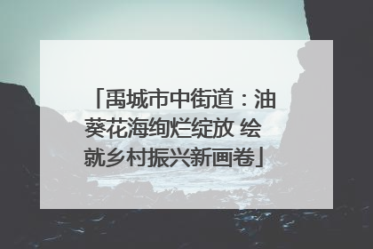禹城市中街道：油葵花海绚烂绽放 绘就乡村振兴新画卷