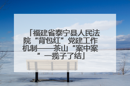 福建省泰宁县人民法院“背包红”党建工作机制——茶山“案中案”一揽子了结