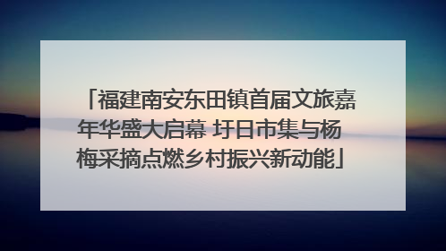 福建南安东田镇首届文旅嘉年华盛大启幕 圩日市集与杨梅采摘点燃乡村振兴新动能