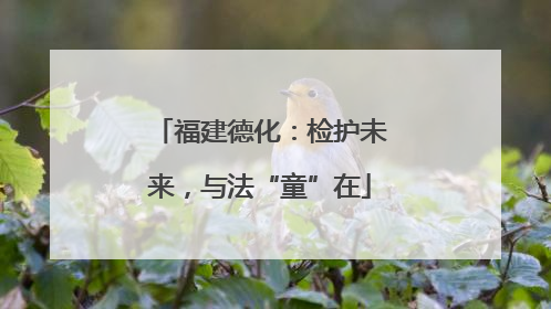 福建德化：检护未来，与法“童”在
