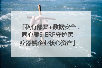 私有部署+数据安全：同心雁S-ERP守护医疗器械企业核心资产
