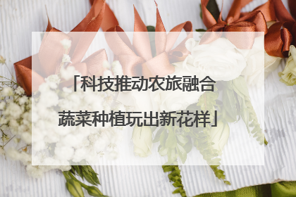 科技推动农旅融合 蔬菜种植玩出新花样