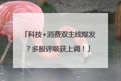 科技+消费双主线爆发？多股评级获上调！